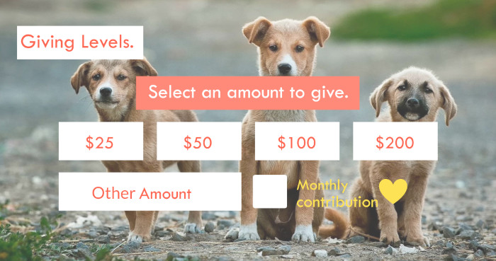 Donation form with different suggested prices